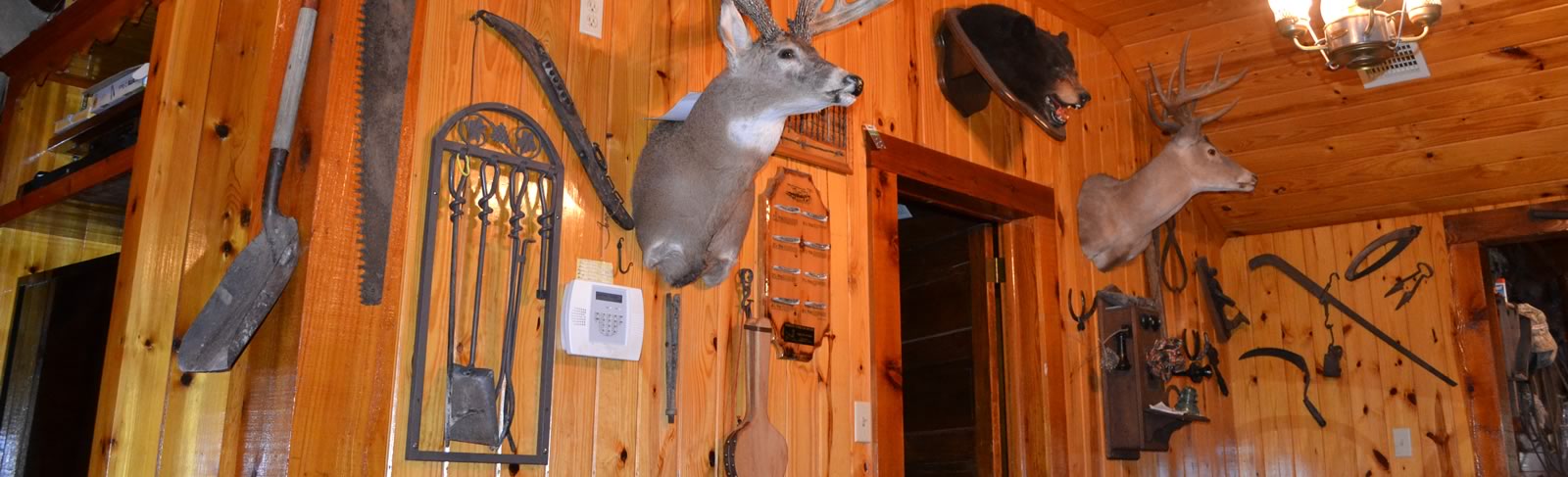 inside view of exotic game lodge